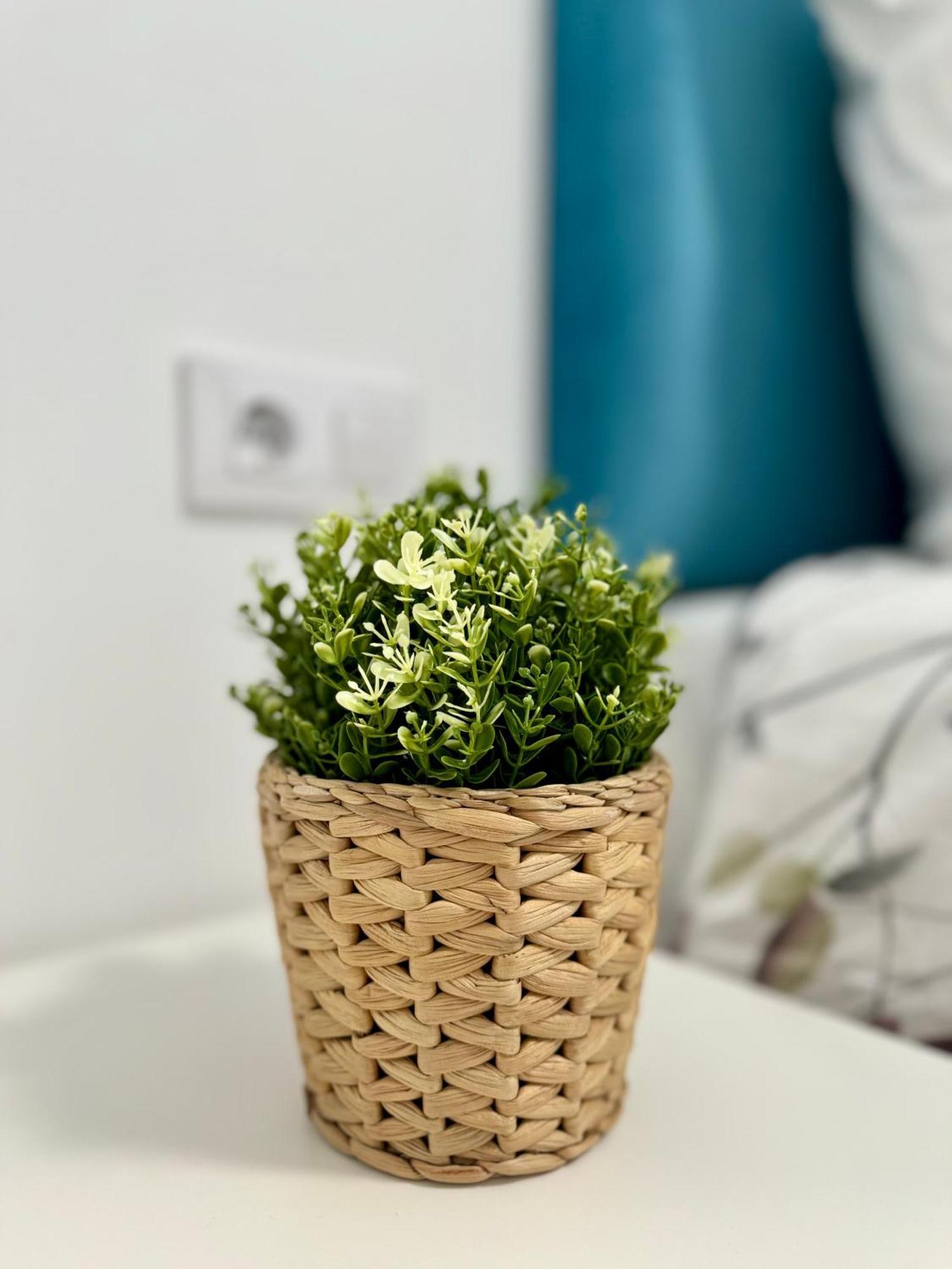 Apartamento Centrico Виго Екстериор снимка